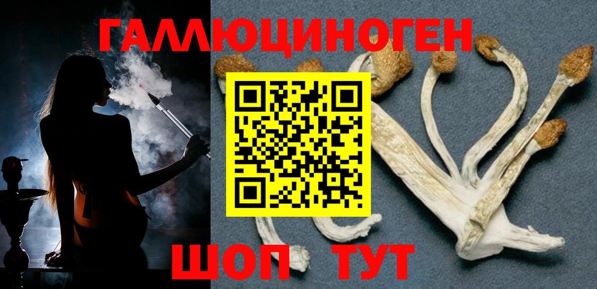 Усть-Кут  Галлюциногенные грибы ЛСД  Вход с VPN 