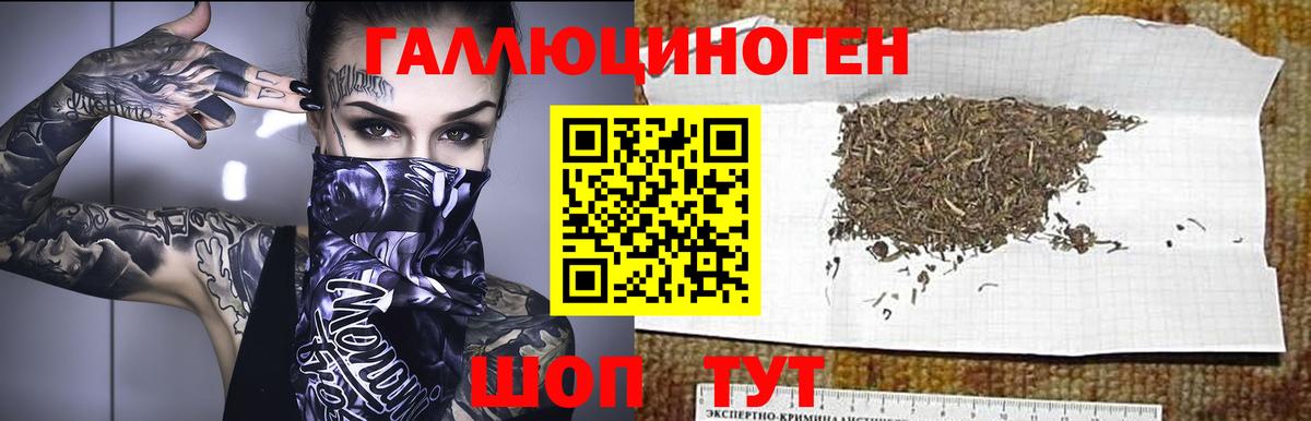 Псилоцибиновые грибы GOLDEN TEACHER Усть-Кут